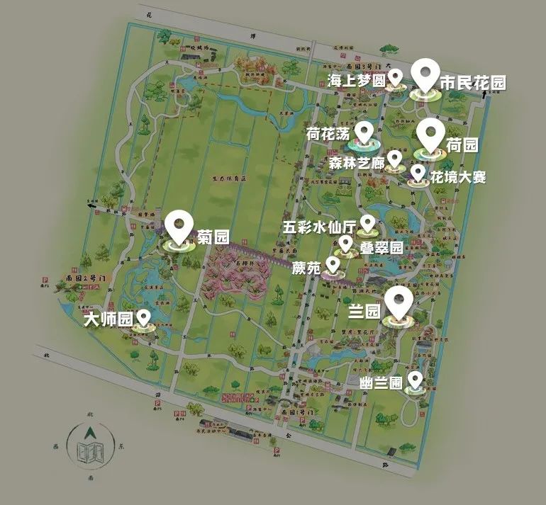 【探索】花博会"清凉"打卡路线:去南园的森林里赏