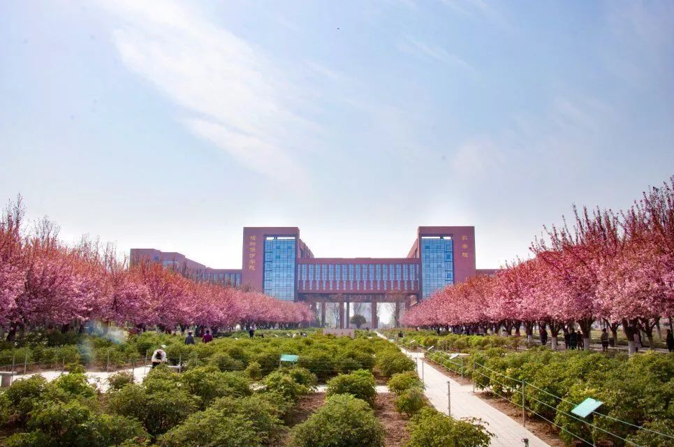 西农博览园南校大门,图书馆,樱花路,小西湖南校区西区雕塑,工程训练