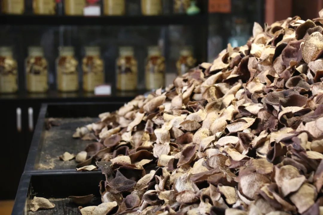 喜讯新会陈皮炮制技艺入选国家级非遗名录