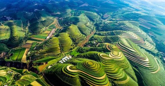 一口爆浆,庆阳"嘟好吃"车厘子熟了,这是一份来自黄土地的馈赠