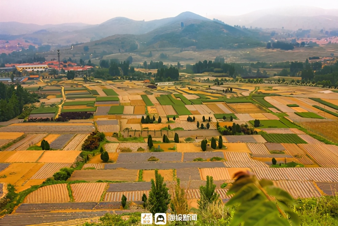 此刻日照大地一幅丰收画卷颗粒归仓
