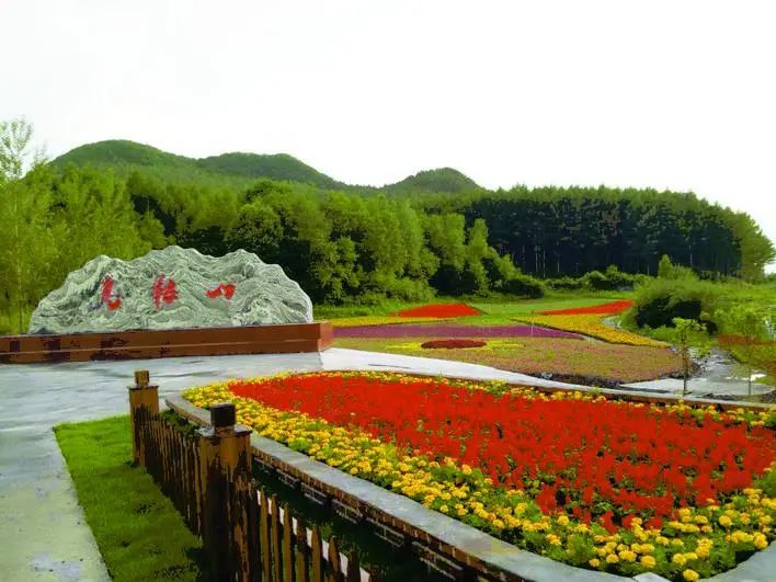 长春市九台振兴乡村有力量