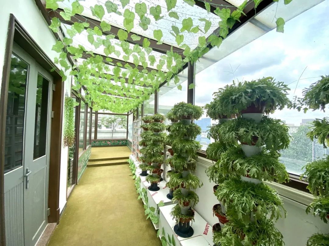 闵行惊现一个屋顶菜园!菜不仅用来吃,还可以