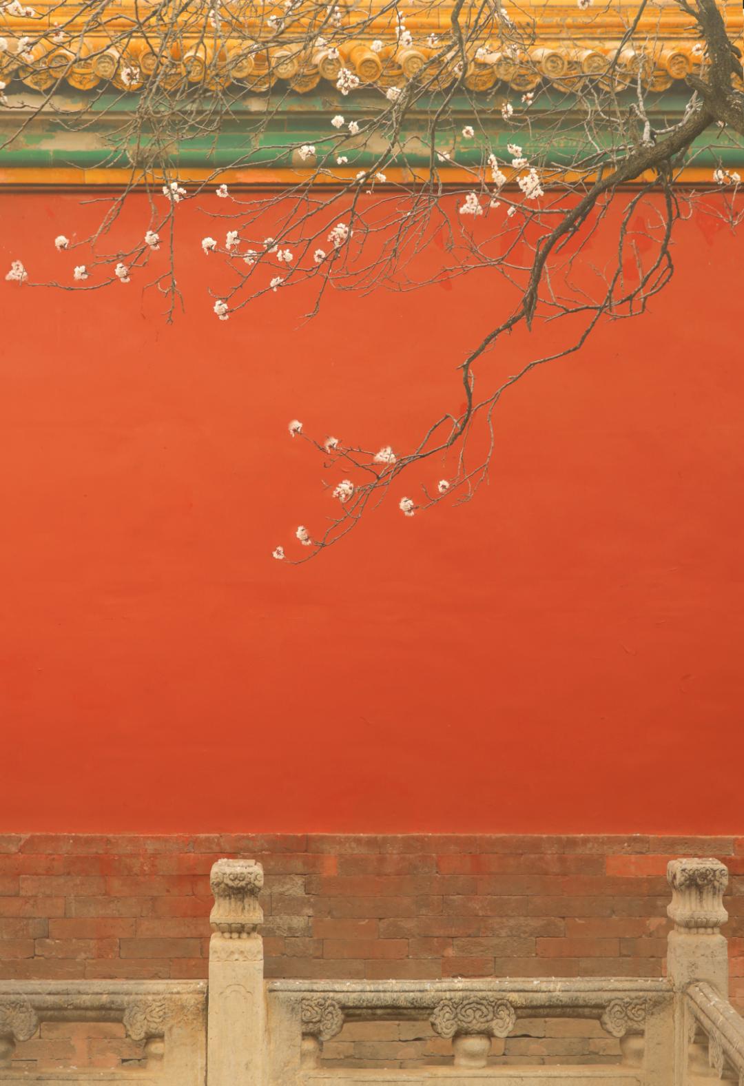 有没有一些好看的的中国古代纯色颜色壁纸？ - 知乎