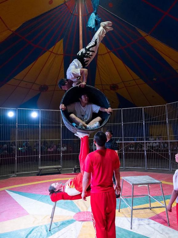 老去后,他们仍在高空飞旋