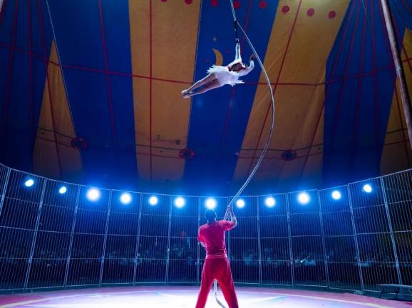 老去后,他们仍在高空飞旋