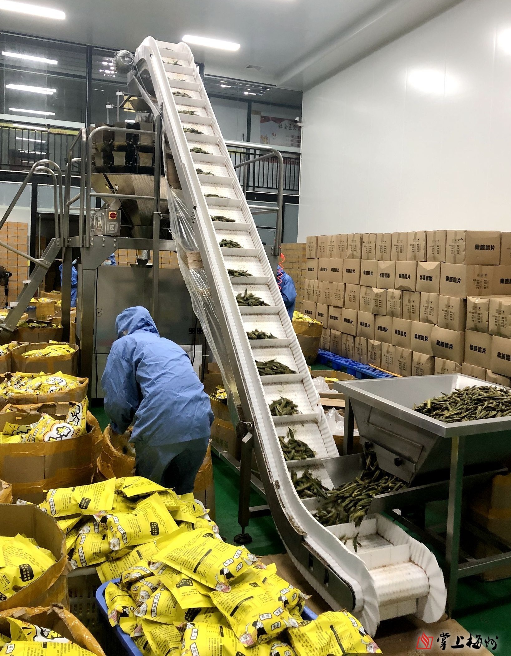 农产品初级加工基地对各类产品集中进行生产初加工.