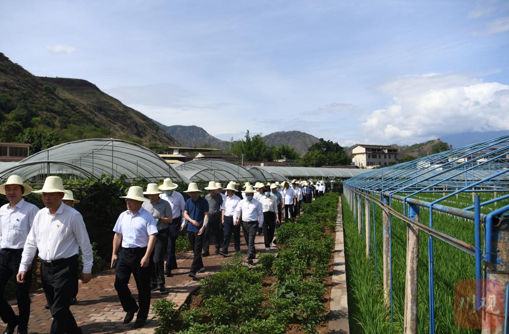 全省巩固拓展脱贫攻坚成果同乡村振兴有效衔接现场会凉山点位大全(二)