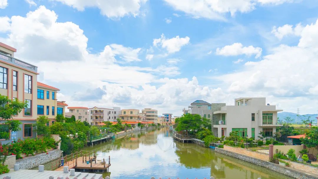 助力描绘乡村振兴的美丽画卷"创美庭院"建设金湾区将进一步深化在市