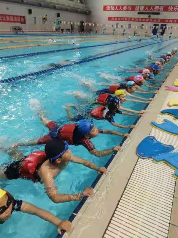 六年级游泳课图片