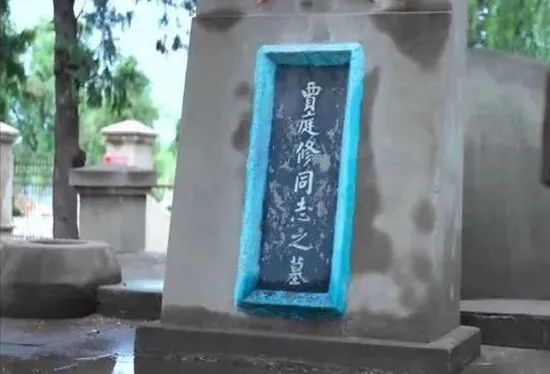 贾庭修去世后,李菁玉因工作繁忙和交通不便,在第8天才见到爱妻的遗体.