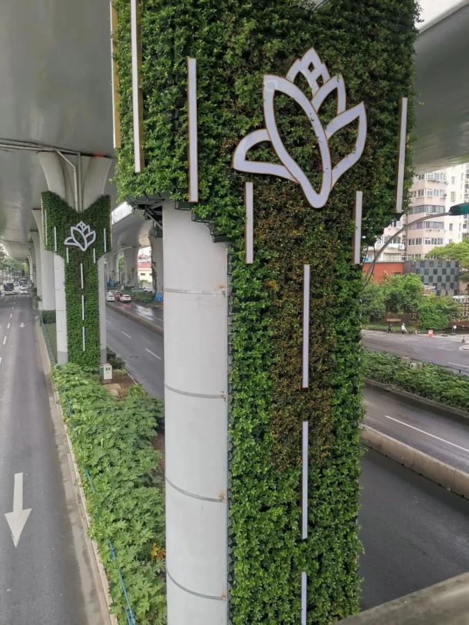 虹口中环线桥柱华丽变装高架桥柱上市花白玉兰绽放