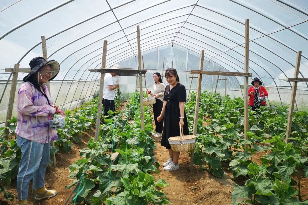 "早就来过苜渠网红打卡地,没想到今年这边大棚种植的蔬菜水果品种丰富