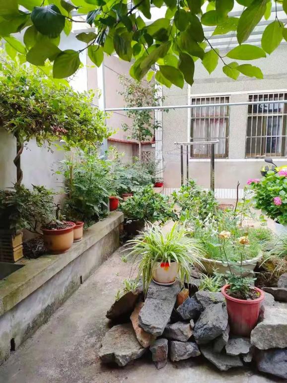 展播丨庭院比美正当时风景如画传万家④