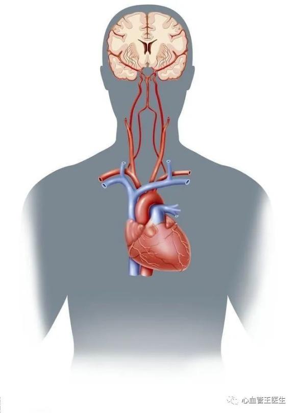 心脑血管最怕的十二个时刻