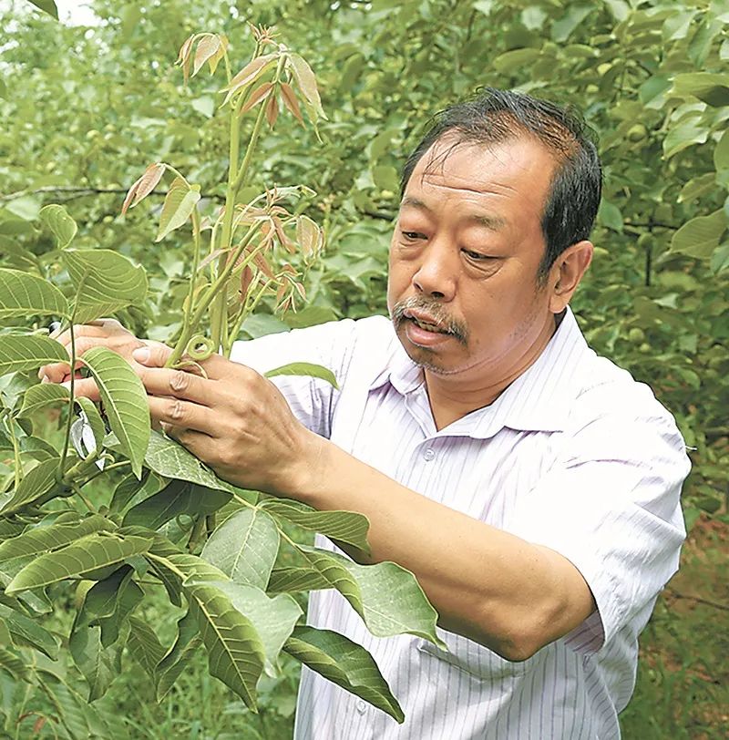 滨州市沾化李保国图片