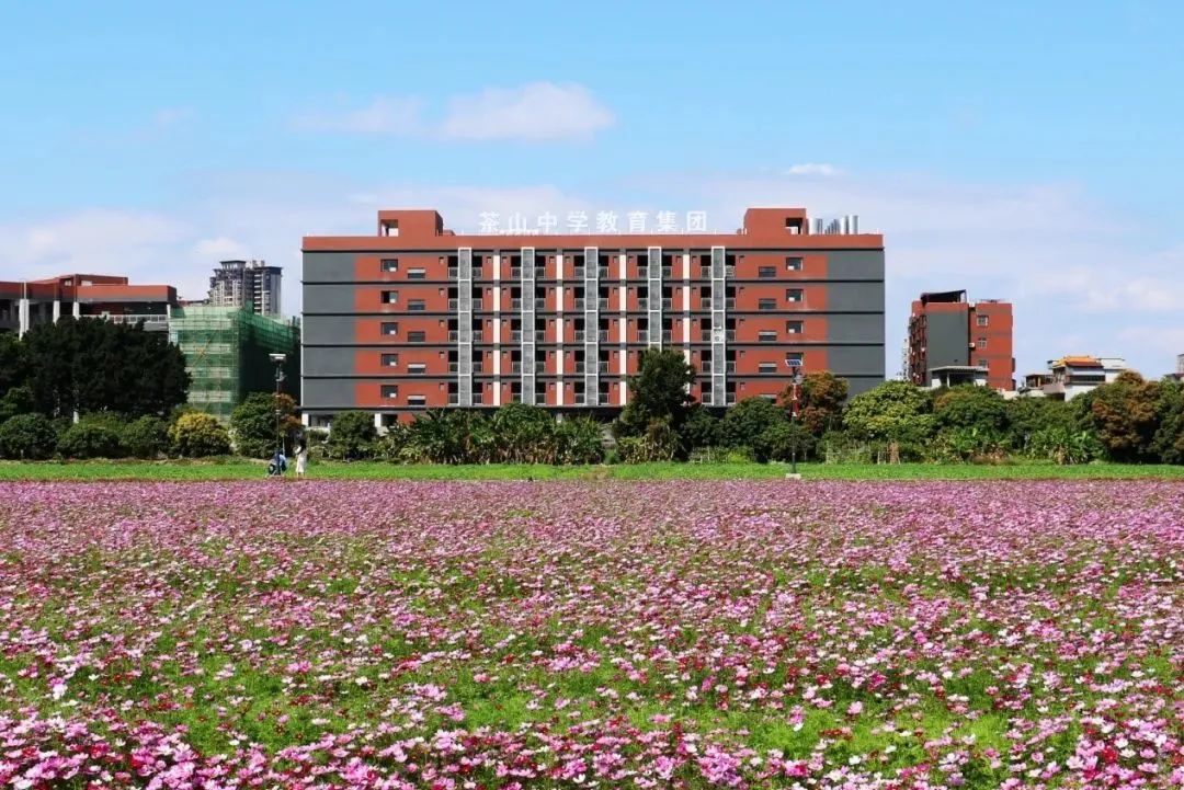 新增3720个公办学位!9月启用!东莞这4所学校已完工!_政务_澎湃新闻-th