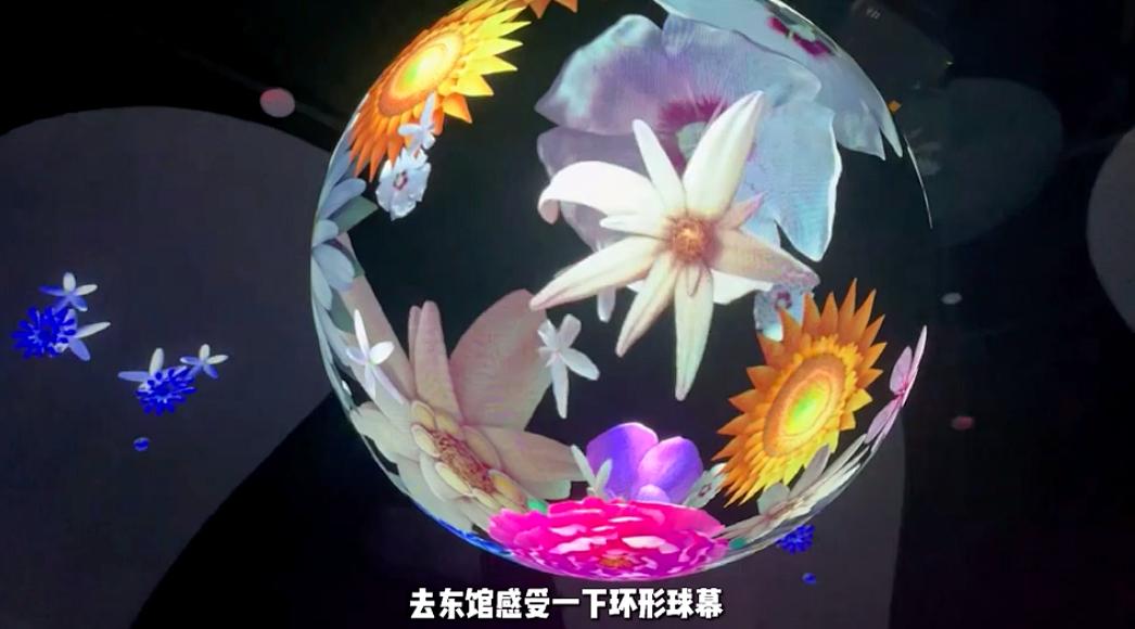 跟圆圆梦梦一起打卡花博园
