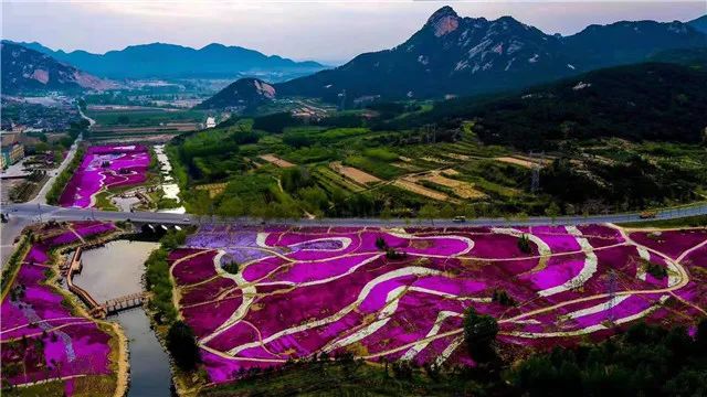 学典型促发展比学赶超文登昆嵛山水入画来