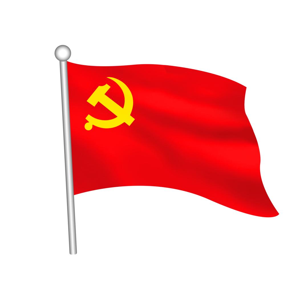 粽叶绿 党旗红:这个端午,他们在抗疫第一线这样度过