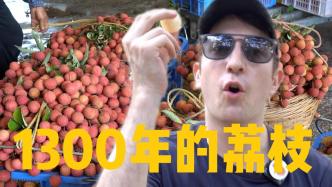 美國小哥嘗鮮1300年的荔枝樹果實,95%美國人可能從沒吃過荔枝?