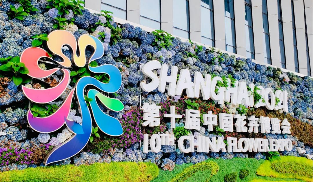 6月13日,在上海崇明岛举办的中国第十届花卉博览会碗莲栽培技术军赛