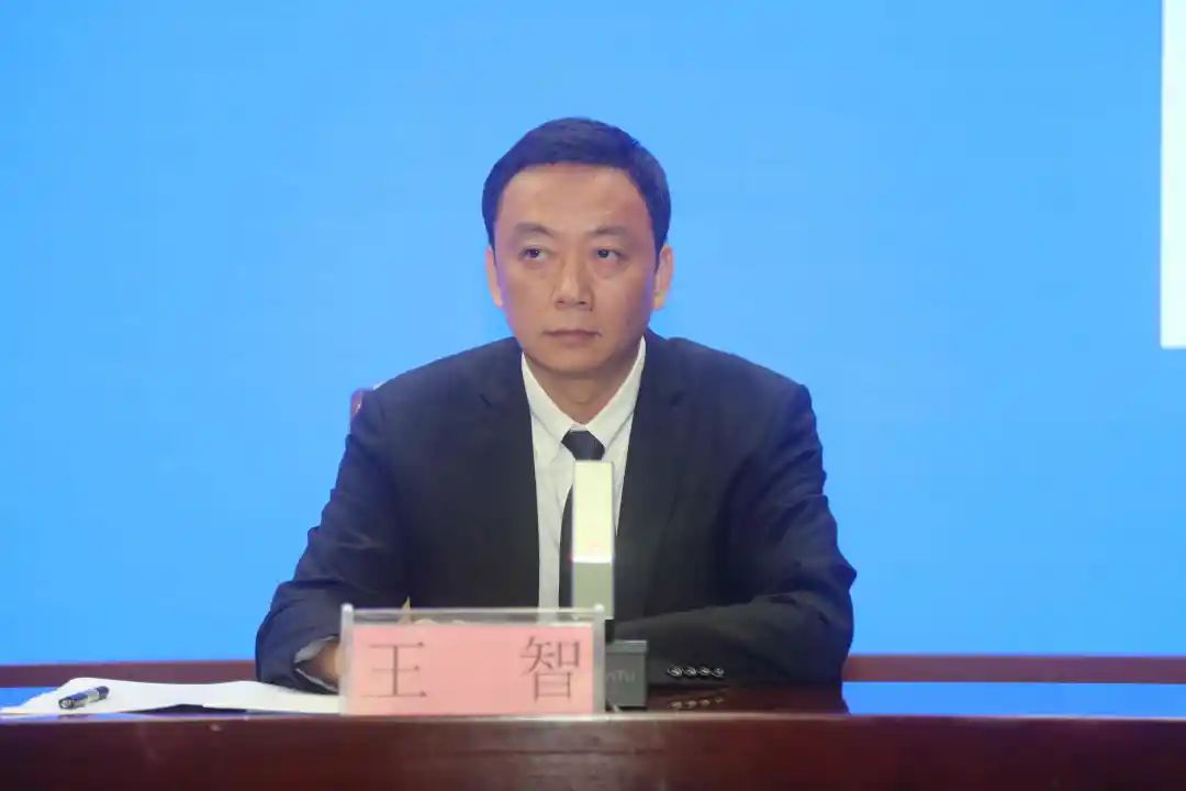 王智