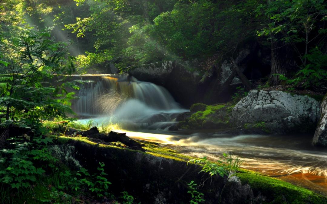 中国最美森林中国森林氧吧就在这儿