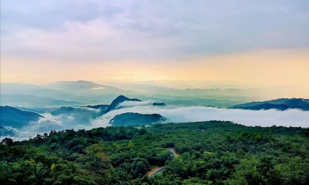 这个夏日来太平顶赴山野之趣