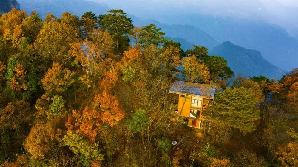 这个夏日来太平顶赴山野之趣