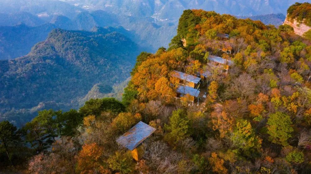 这个夏日来太平顶赴山野之趣