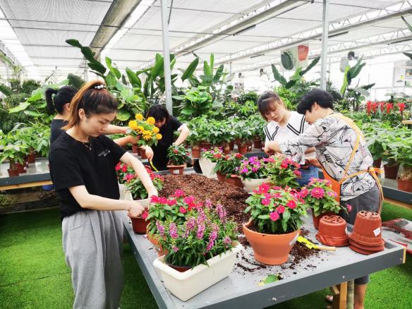 庭院創建美麗有我項目之花卉種植培訓班開班啦