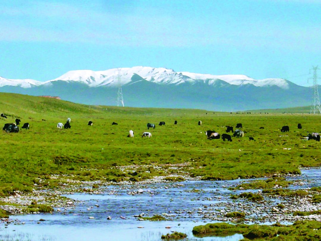 红色旅游发展案例 | 金银滩上的一抹"红"——青海省海北州海晏县西海