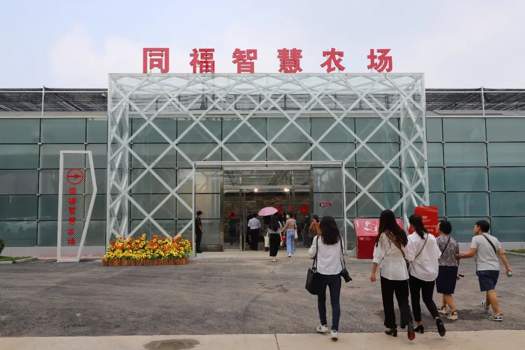 高大上塔元庄智慧农场满满科技范儿