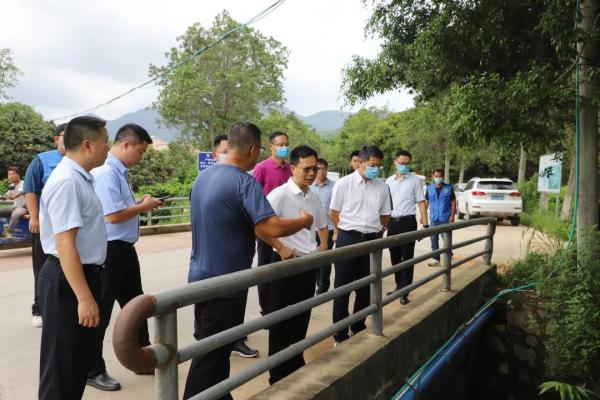 谢岗镇积极做好常态化巡河　确保水环境治理工作有效推进