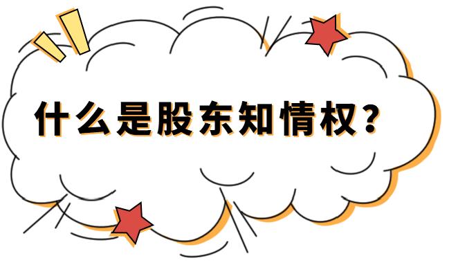 优化营商环境保护中小投资者之股东知情权