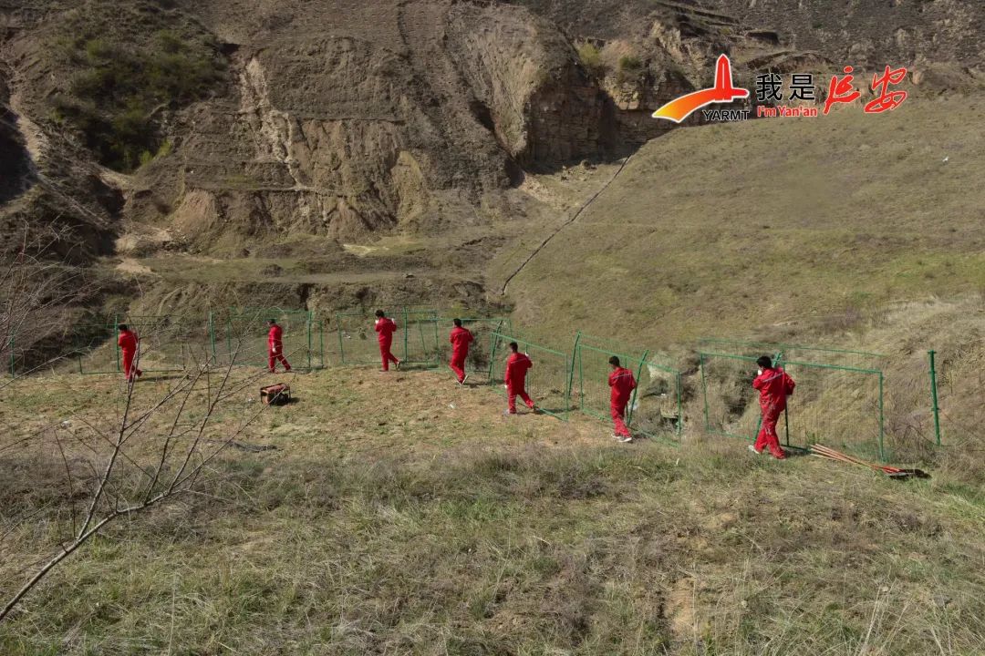 2020年8月,延长油田杏子川采油厂勘探科职工惠瑞瑞与延长石油集团研究