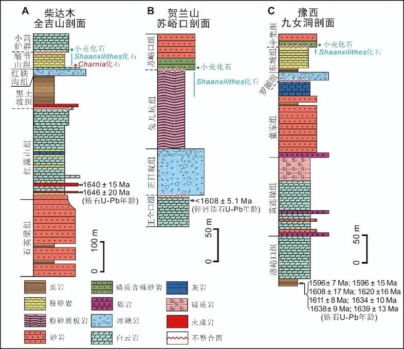 5億年前生物群化石!