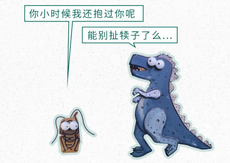 上混了蟑螂与大家聊聊号称打不死的"小强"第二十期《每周科普》栏目蟑