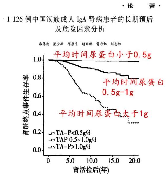 尿蛋白不转阴,就会得尿毒症?其实,尿蛋白降到这个水平,已经达标