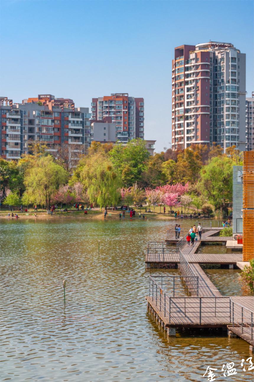 和多元融合的城市空间光华公园在温江的知名度可不小光华公园图@向实