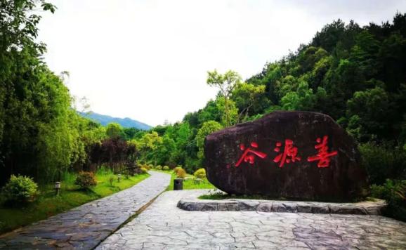 六月的善源谷依然精彩