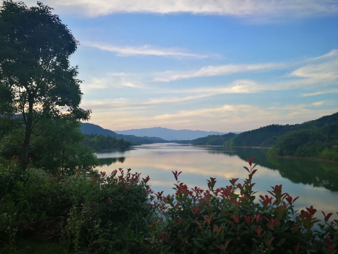 六月的善源谷依然精彩