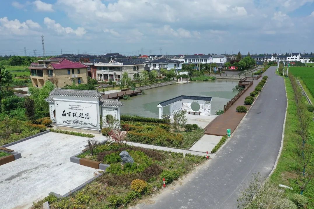 你一定想不到,庄行镇是这样创建"超五星"小区的!_政务_澎湃新闻-the p