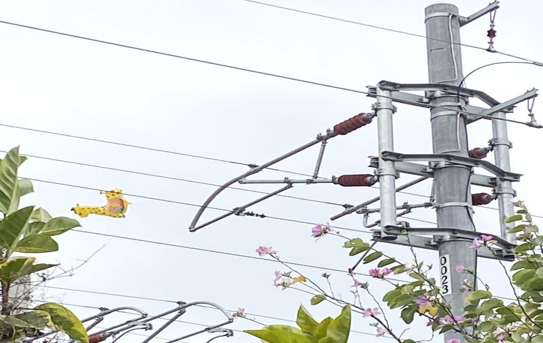 高铁接触网为何怕"异物"?答!案!在!这!里!