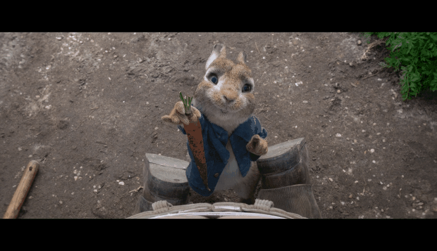 比得兔2虚构故事的欢乐映衬出了现实的残酷