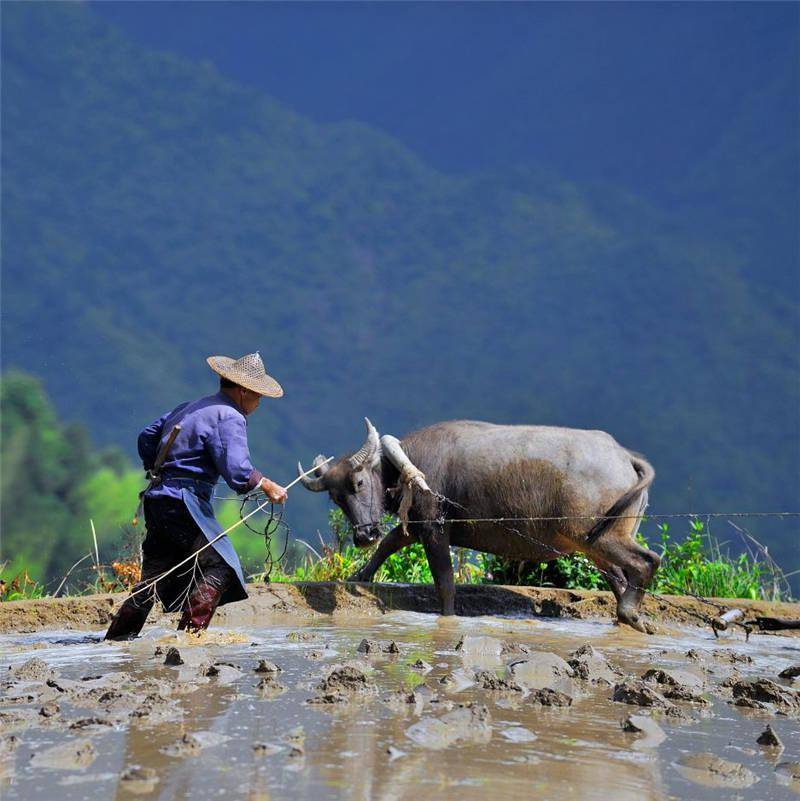 百城百艺非遗名录带你体验传承千年的农耕文化