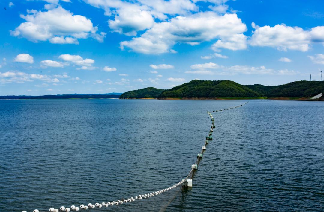 美丽河湖展播|辽宁水源地 生态大伙房