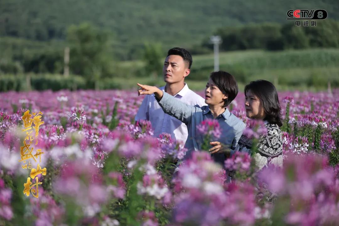 央八重播《鲜花盛开的山村》!网友:必须要二刷的剧!