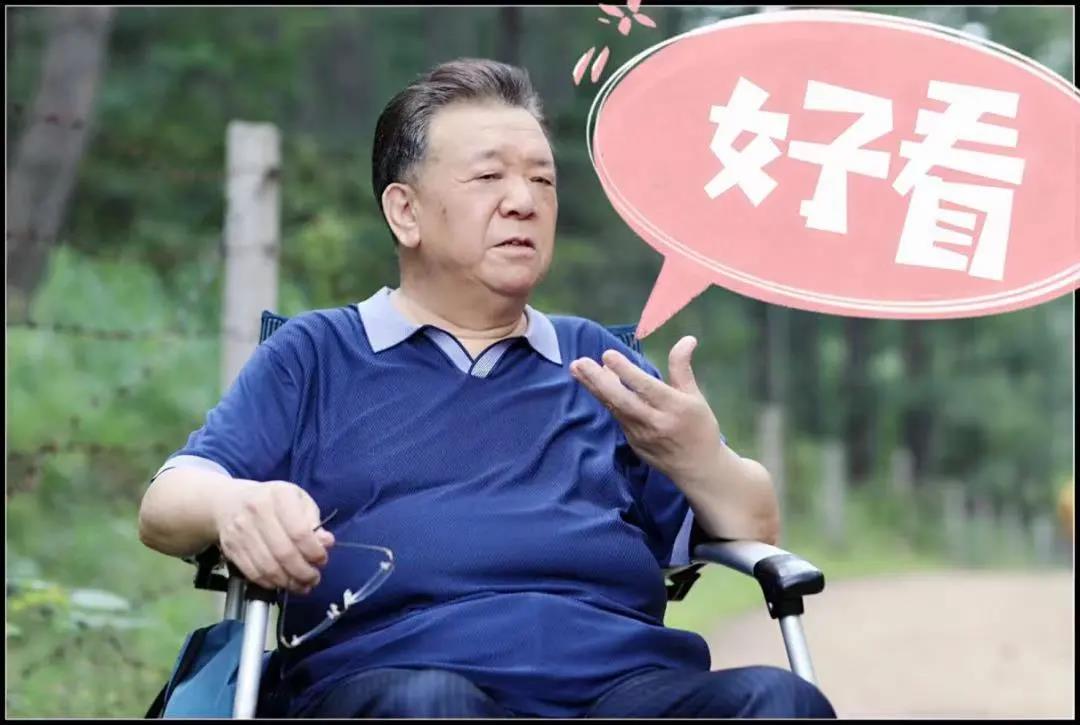 央八重播《鲜花盛开的山村》!网友:必须要二刷的剧!